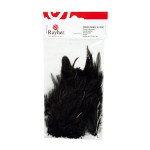 Plumes - Noir - 10-15 cm - 2 g