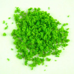 Flocage éponge Vert de mai 50 g